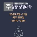 배교 티스토리