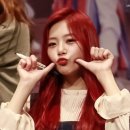 꿈둥이 이미지