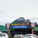 한림민속오일시장(한림오일시장) | 제주여행(3)_ 한림민속오일시장, 이니스프리 하우스, 고집돌우럭