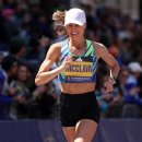 World game land 이미지