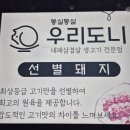 통실통실 우리도니 이미지