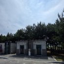 성수기 시즌 줍줍한 울진 염전 해변 캠핑장 6번 사이트 후기.