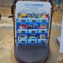 행운슈퍼 | [홍천 오션월드] 골드시즌2 방문 후기 (2편)｜폭우가 만든 뜻밖의 행운! 인기 어트랙션까지 즐긴 하루