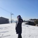 삼지당 | 스키장갑 브랜드 추천 스키장 필수품 루디스 삼지 겨울 스포츠 장갑 후기