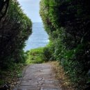 금호리조트(주)제주 이미지