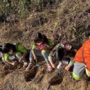 라온수피아유치원 이미지