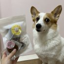 멍는개남는댕 이미지