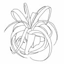 진상용농장 | 틸란시아 식쇼하다 진상이 될뻔한 썰, 쫑알쫑알