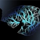 박용식신경과의원 이미지