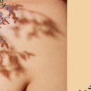 나투리스 이미지