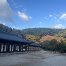 스테이가진 | [리뷰] 동화사 템플스테이