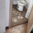 원룸세탁 이미지