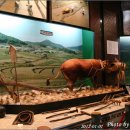 광주광역시립민속박물관 이미지