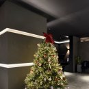 무드무드 이미지