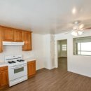 라크라센타(1) 이미지