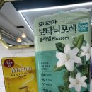 탑연지푸르지오부동산공인중개사사무소 | 김해 탑연지부동산 내돈내산👍♥️
