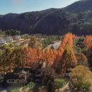 가을여행 이미지