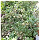 당산농장 이미지