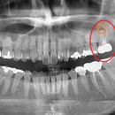 본정치과의원 이미지
