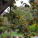 재일농원 이미지