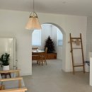 스테이 레브 이미지