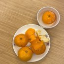 굿보러가자 | 올해나쁜일다버리고내년으로가자!