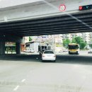 용인대쌍용태권도 이미지