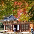 깊은 치유 이미지