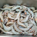 소두방횟집 | [부산 아이와 가볼만한곳,갈만한 곳] - 부산 정관박물관 위치/관람시간/휴무일/주차 TIp