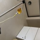 연세화랑의원 이미지