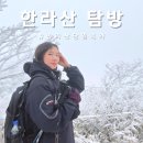 돈내코입구교차로 | 겨울 한라산 관음사 코스 당일예약 탐방 후기 / 예약 방법 & 준비물 & 장비 대여