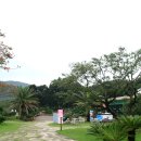 메이즈랜드 이미지