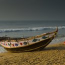 꽃이 피고 비가 내리면 이미지