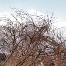 만춘농장 이미지