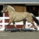 우리마차 이미지