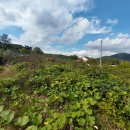 양지바른농장 이미지