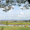 나주종합스포츠파크 건너편 이미지