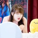 흰둥이네 인형뽑기 이미지