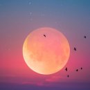 카페화실 - 강화군 해안남로 118-24 | 카페화실