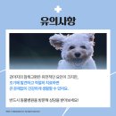 공동물병원
