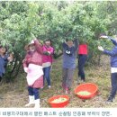 김주철농장 이미지