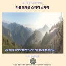 자이 숙소 추천 퍼플 드래곤 스타리 스카이 후기