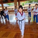 무들마리 태권도장 이미지