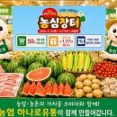 농협하나로유통, 창립 11주년 맞아 전국 하나로마트 최대 50% 할인 행사 이미지
