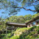 공들인기절떡풍 | 충남 서산 가볼만한곳 도비산 부석사 소원종 도비산 다원 카페 수국 명소 주차장 정보