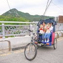 천지 애견 이미지