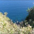 태하등대 이미지