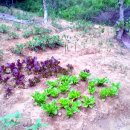 자유로농장 이미지