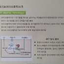 장어와미꾸라지 이미지