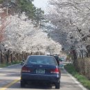 창연농장 이미지